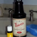  Thieves Cleaner