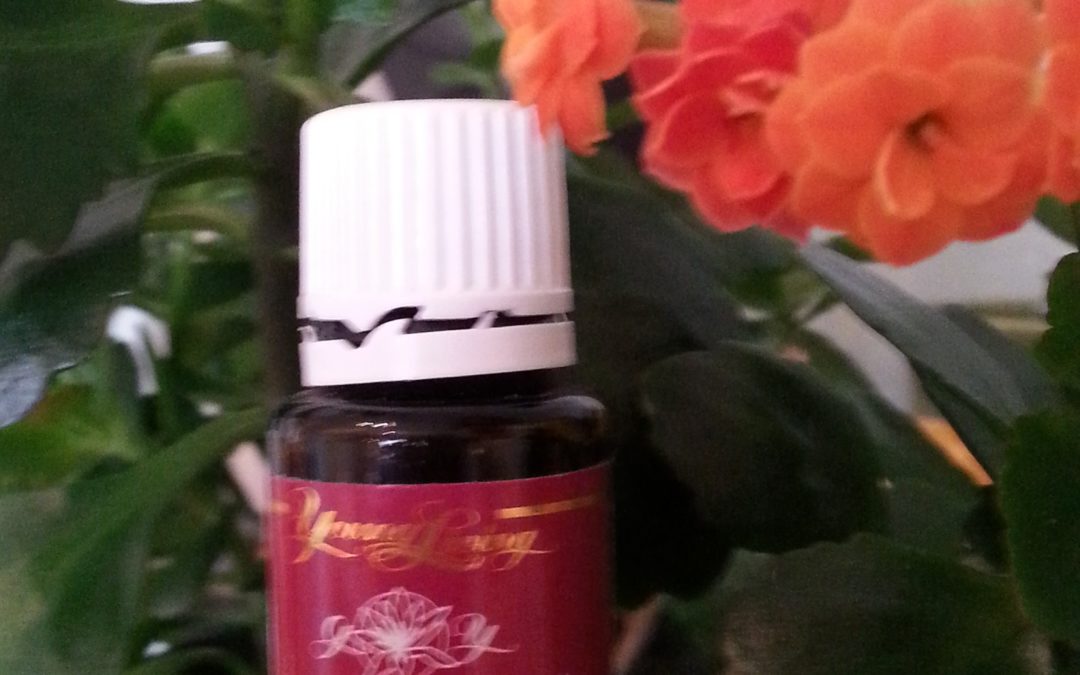 Powerful Oil Blend of Purification for Personal and Home Use
