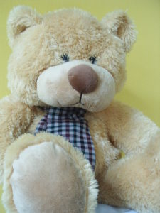 big-teddy-bear-1-1509885-639x852