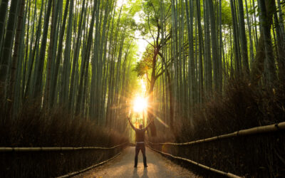 Feel Safe, Grounded and Fully Alive Through Your Root Chakra